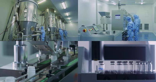 2021年生物試劑產(chǎn)品及技術(shù)服務(wù)市場深度分析 技術(shù)服務(wù)成關(guān)鍵增長引擎