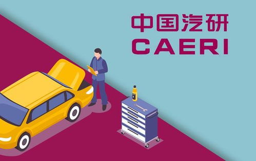 汽檢機(jī)構(gòu) 技術(shù)服務(wù)領(lǐng)域的隱形冠軍，盈利能力超整車廠